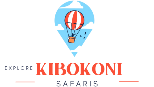 Explore Kibokoni Safaris