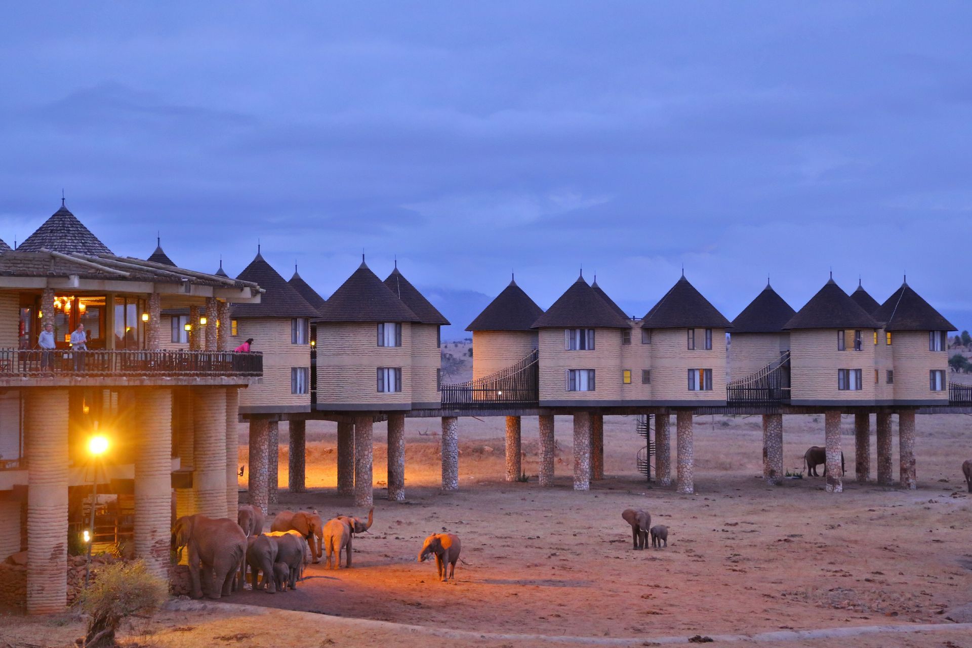 Tsavo-Salt lick